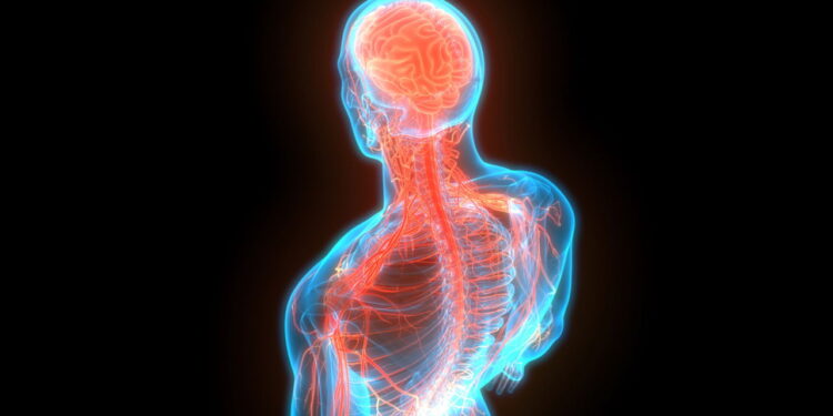 O maior erro que pode aumentar seu risco de AVC está no dia a dia