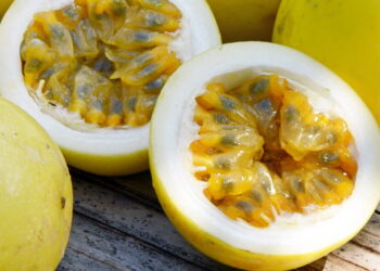 Saiba como ter um cultivo de maracujá em casa para fazer doces inesquecíveis