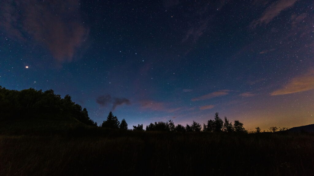 Escolha um momento do dia e saiba o que isso revela sobre você