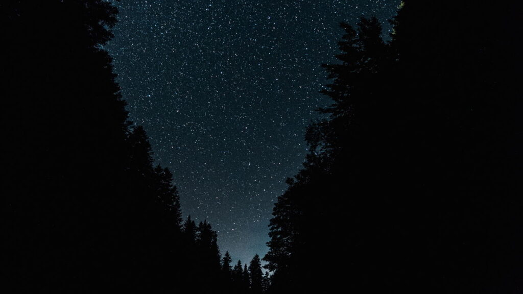 Escolha um momento do dia e saiba o que isso revela sobre você