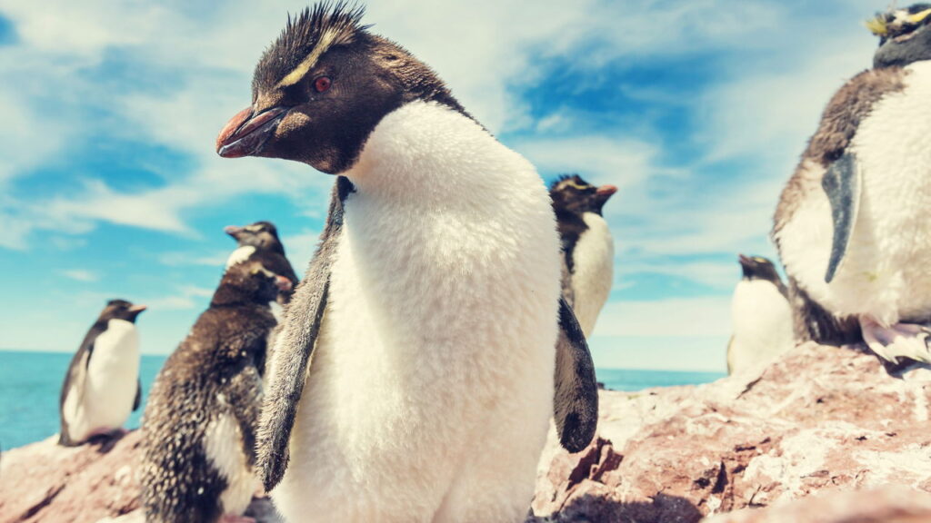 O destino mais impressionante da América do Sul está encantando brasileiros

