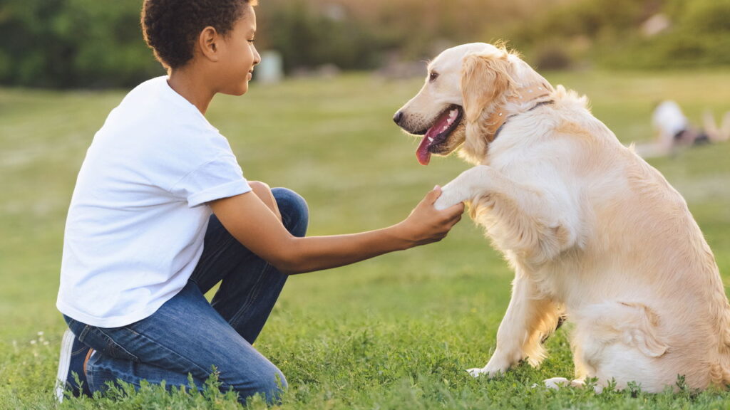 O que os cachorros realmente entendem quando você fala?