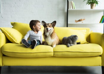 Algo que você faz todo dia pode estar prejudicando seu pet