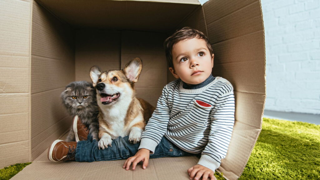 A dica mais ignorada que pode garantir mais anos de vida para seu pet