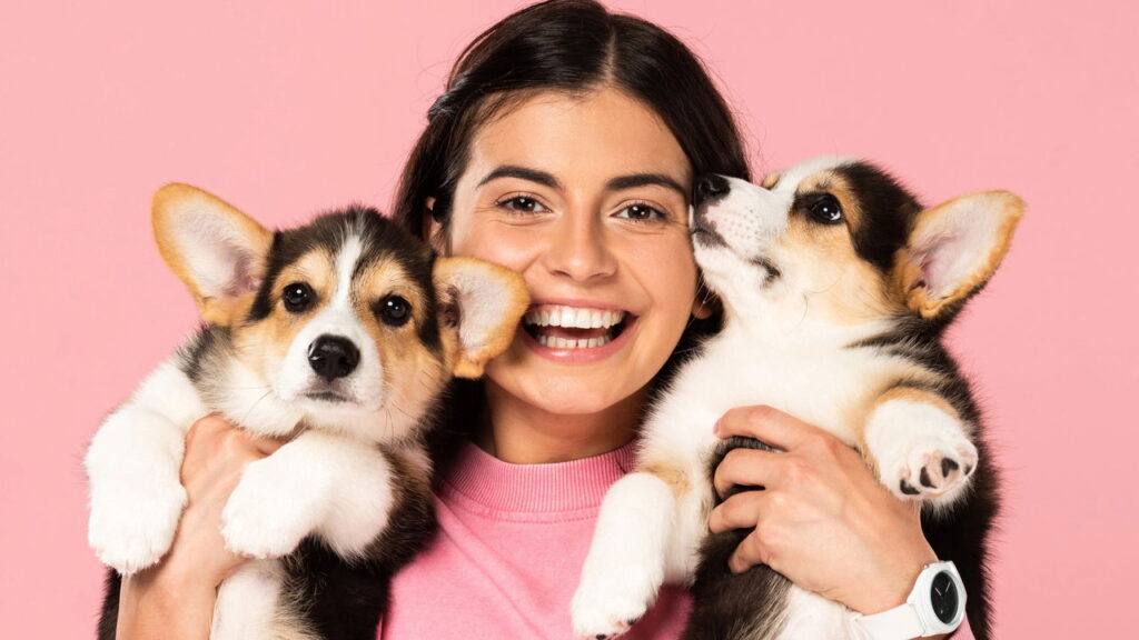 Essa mania comum dos cães pode revelar muito mais do que você imagina