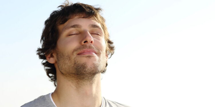 As 4 plantas mais poderosas para purificar o ar da sua casa