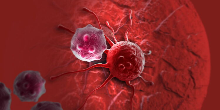 Cientistas descobrem bactéria que pode ajudar no combate ao câncer