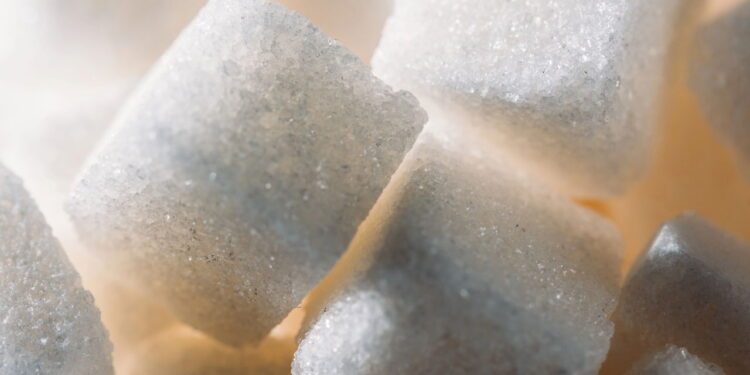 As 13 melhores alternativas ao açúcar para uma vida mais saudável