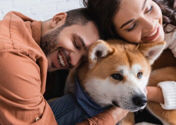 Ansiedade e medo nos pets como transformar em carinho segundo a psicologia
