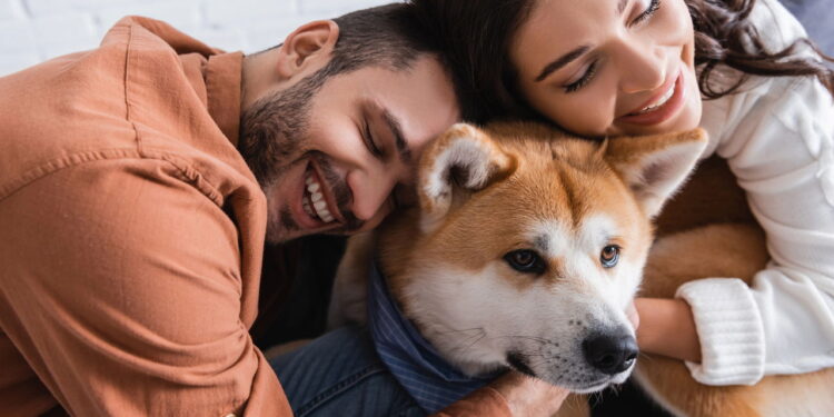 Ansiedade e medo nos pets como transformar em carinho segundo a psicologia