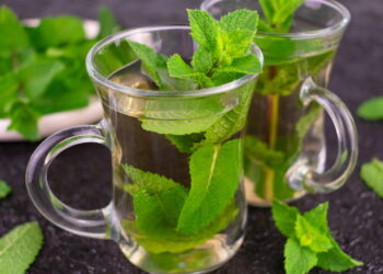 Chá de hortelã melhora digestão respiração e ainda acalma