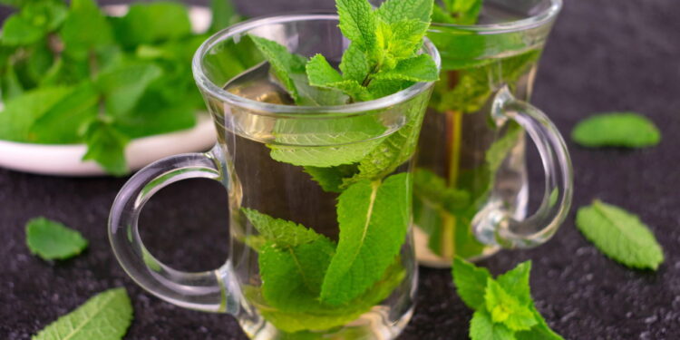 Chá de hortelã melhora digestão respiração e ainda acalma