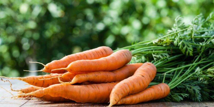 Vegetal popular em casa apreciado pelo sabor doce e pelos altos nutrientes!
