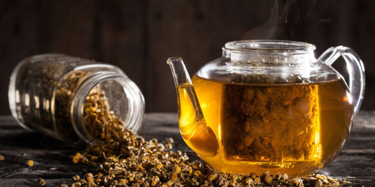 O chá natural mais amado do mundo tem benefícios que vão além do relaxamento