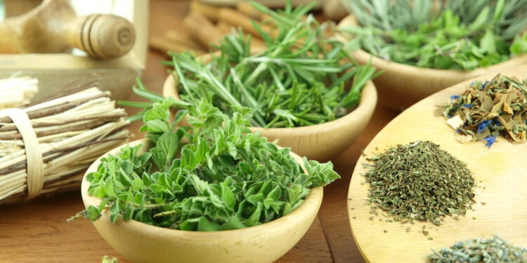 As 5 ervas frescas para deixar suas receitas mais saborosas!