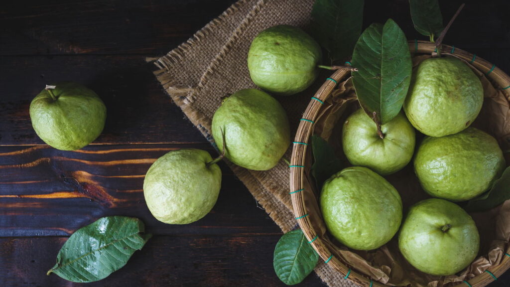 Cultive goiaba em vasos pequenos e tenha frutas frescas o ano todo