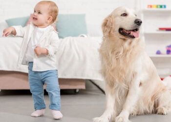 As 6 melhores raças de cachorro para quem tem crianças em casa