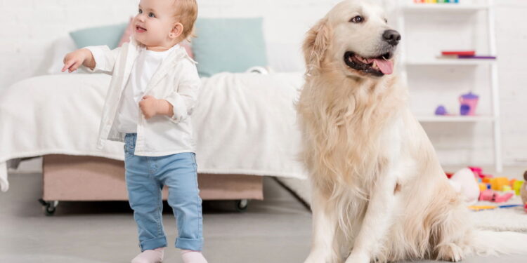 As 6 melhores raças de cachorro para quem tem crianças em casa