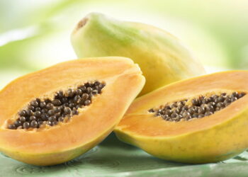 Este guia vai te fazer ter um cultivo fácil e rápido de mamão em seu quintal