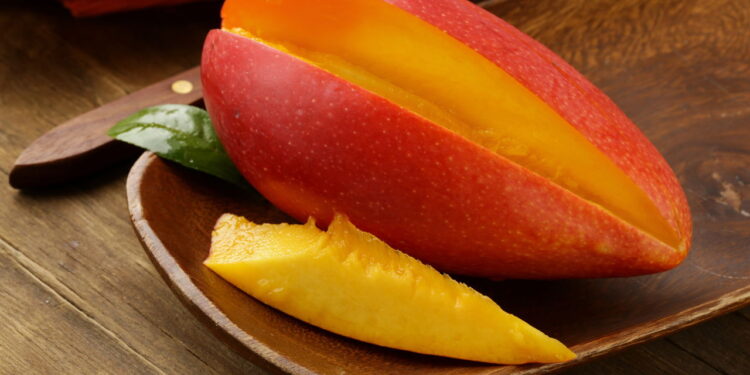 Como plantar mangas em vasos em casa de forma econômica