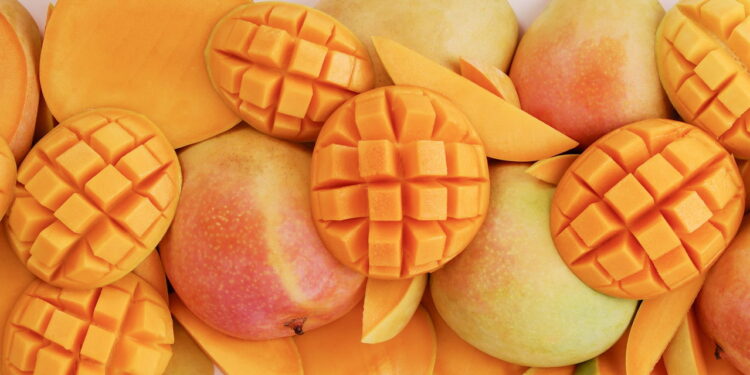 Essas dicas vão te fazer ter um cultivo produtivo e suculento de manga em casa