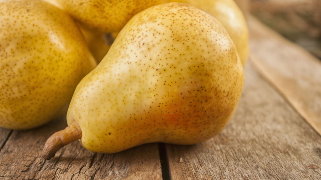 Dicas para cultivar peras em casa com praticidade e economia