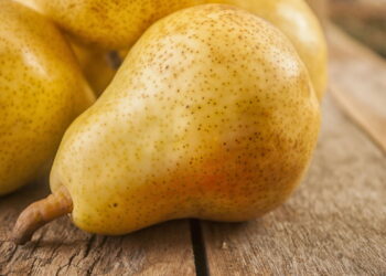 Dicas para cultivar peras em casa com praticidade e economia