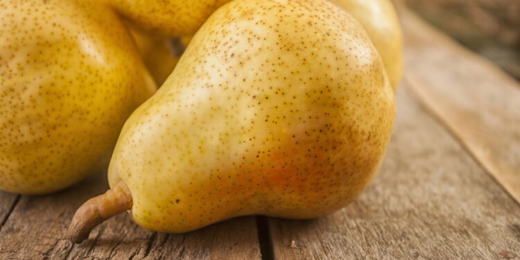 Dicas para cultivar peras em casa com praticidade e economia