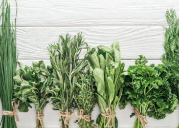 As 5 plantas que você pode cultivar e usar na culinária para transformar suas receitas