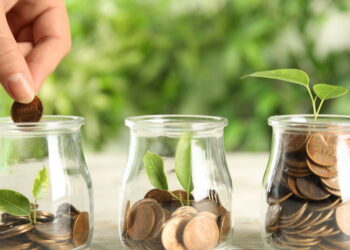 As 5 plantas que atraem dinheiro e prosperidade para a sua vida