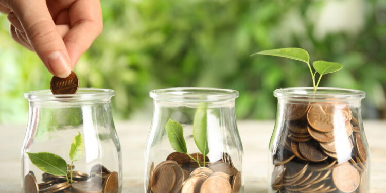 As 5 plantas que atraem dinheiro e prosperidade para a sua vida