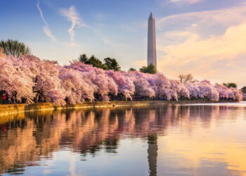 A capital mais fascinante da América oferece muito além da política