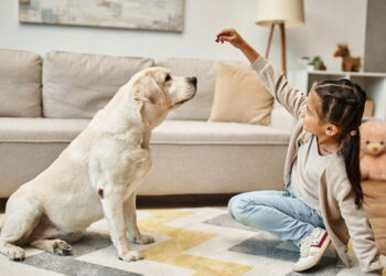 Como os pets podem transformar a infância de forma única