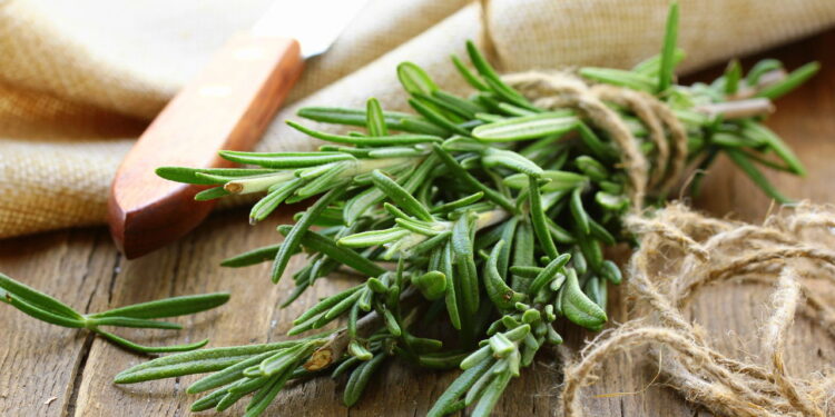 As 5 ervas mais poderosas para banho energético em casa