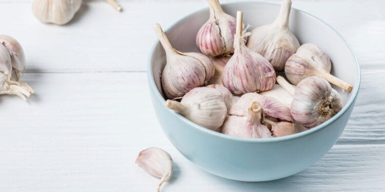 Aprenda a apreciar os benefícios medicinais que o alho te oferece o cultivando em casa