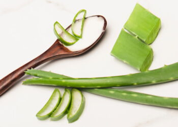 Creme de babosa virou o queridinho das cacheadas brasileiras