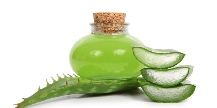 Sabonete de babosa está conquistando quem busca autocuidado saudável