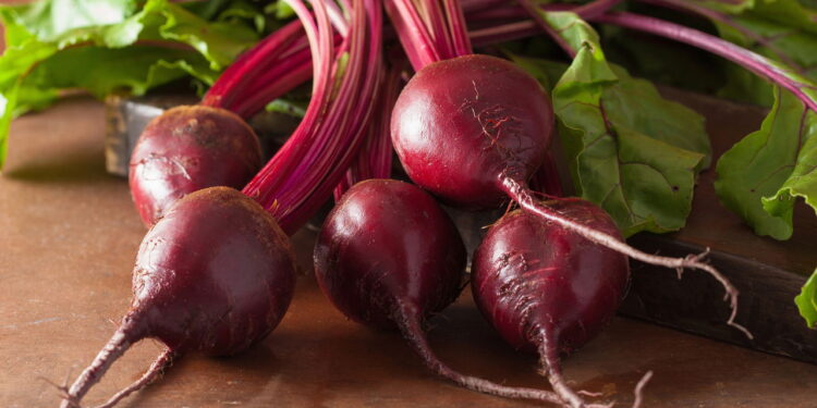 Além de seu sabor único e cor vibrante esse vegetal é fácil de cultivar em sua horta!