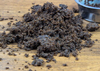 Mistura caseira com café que afasta pernilongos em minutos