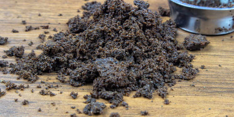 Mistura caseira com café que afasta pernilongos em minutos