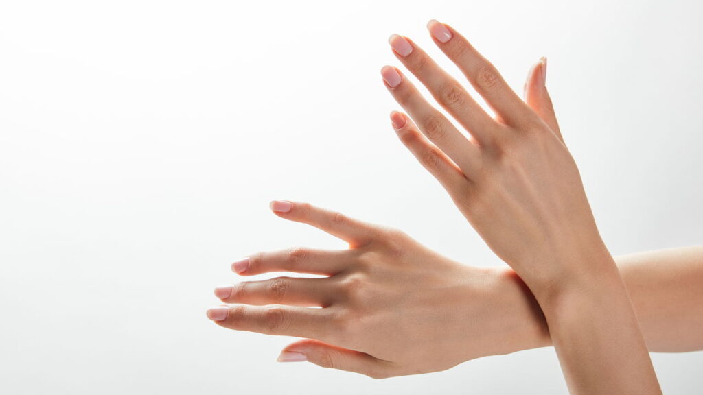 Você nem acredita qual é o órgão mais pesado do corpo humano