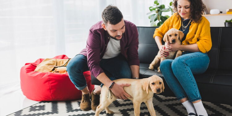 Falar com seu cão todos os dias pode mudar a forma como ele se conecta a você