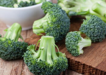 Esse vegetal vai te surpreender pela suculência e pela facilidade de cultivo!