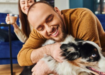 Terapias naturais aliviam dores em cães de forma mais segura e eficaz
