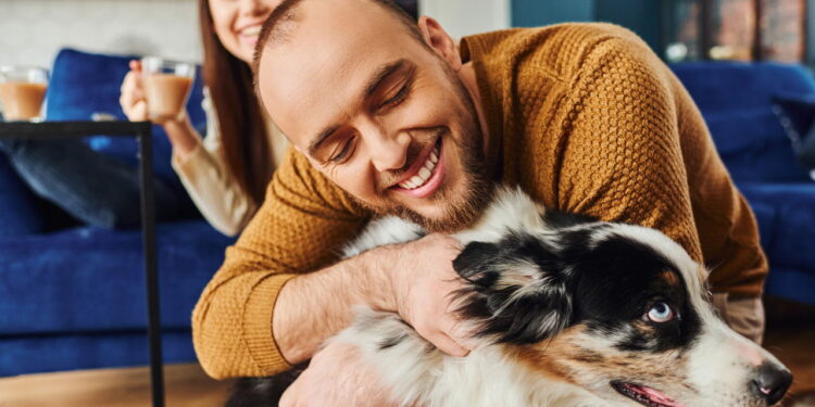 Terapias naturais aliviam dores em cães de forma mais segura e eficaz