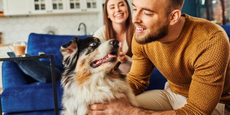 Falar com seu cão todos os dias pode mudar a forma como ele se conecta a você