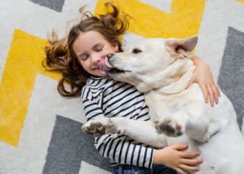 O que significa quando seu cachorro ocupa seu travesseiro para dormir segundo um veterinário