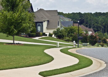 As 3 melhores plantas que valorizam a calçada da sua casa