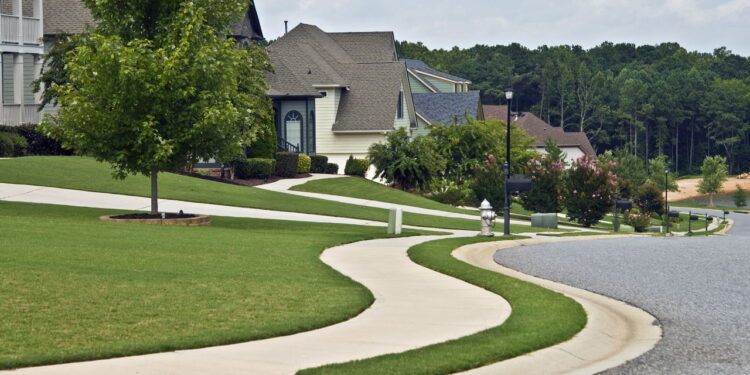 As 3 melhores plantas que valorizam a calçada da sua casa