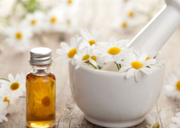 Planta medicinal versátil é muito amada por ajudar a saúde e ser fácil de cultivar!